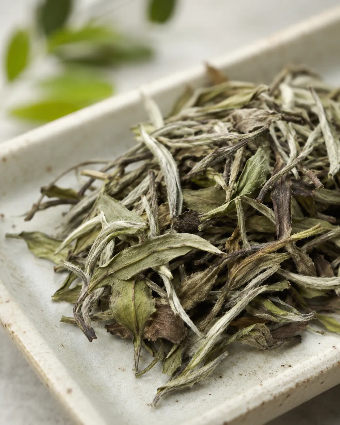 Downy pale buds and one darker leaf spread across a pale ceramic tray.